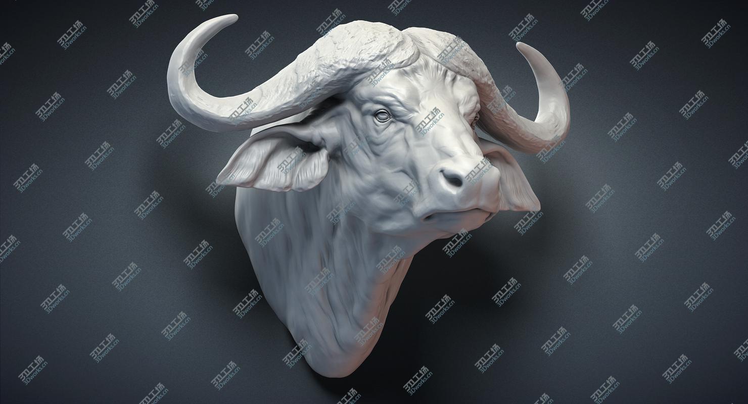 images/goods_img/202104094/Cape Buffalo Head Sculpture 3D model/3.jpg